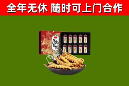 五华县回收冬虫夏草价格